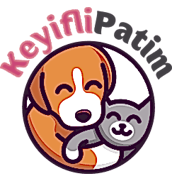 Keyifli Patim | Köpek Oteli | Köpek Pansiyonu