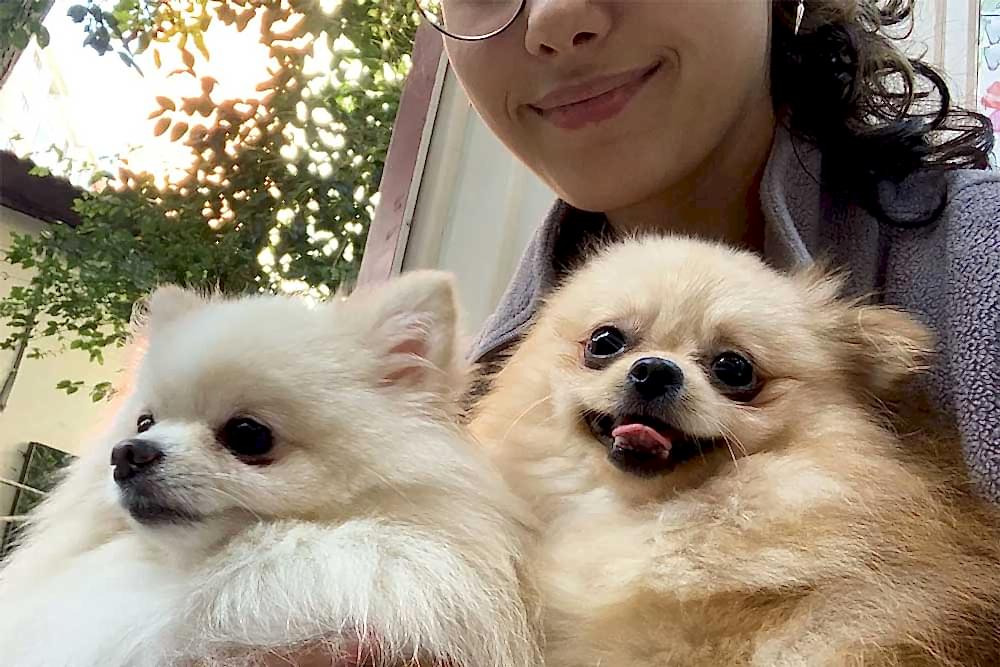 Keyifli Patim Pet Oteli Ekibini Genişletti: Bilge Sağol Göreve Başladı