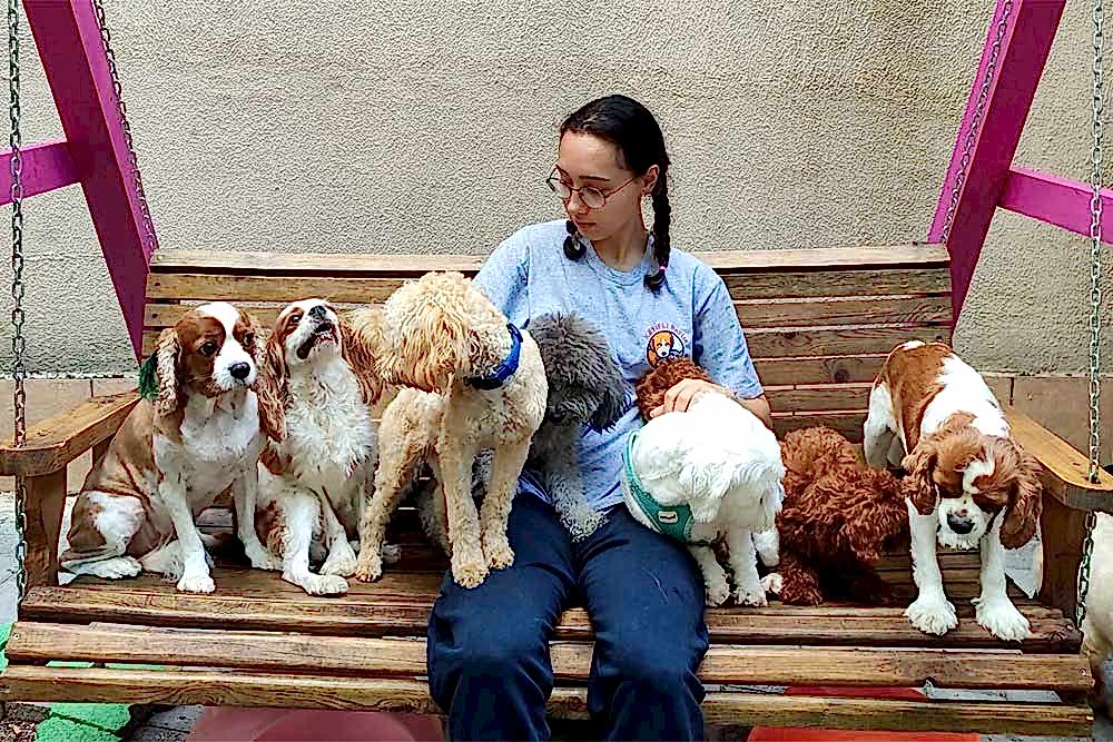 Keyifli Patim Pet Oteli'nde Genç Nesil Devri: Bilge Sağol Görevde